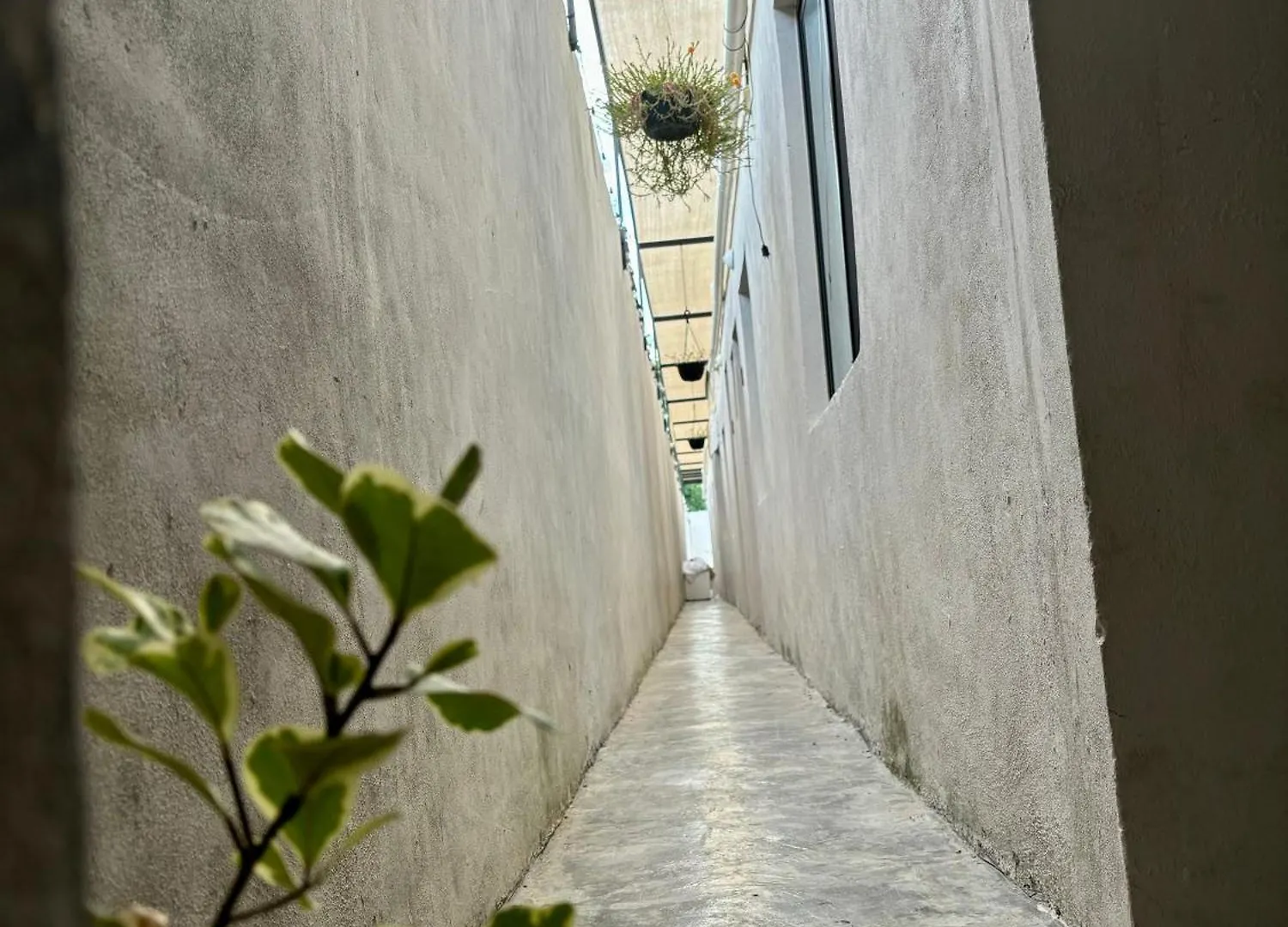 梅里达 Casa Ufemia旅舍